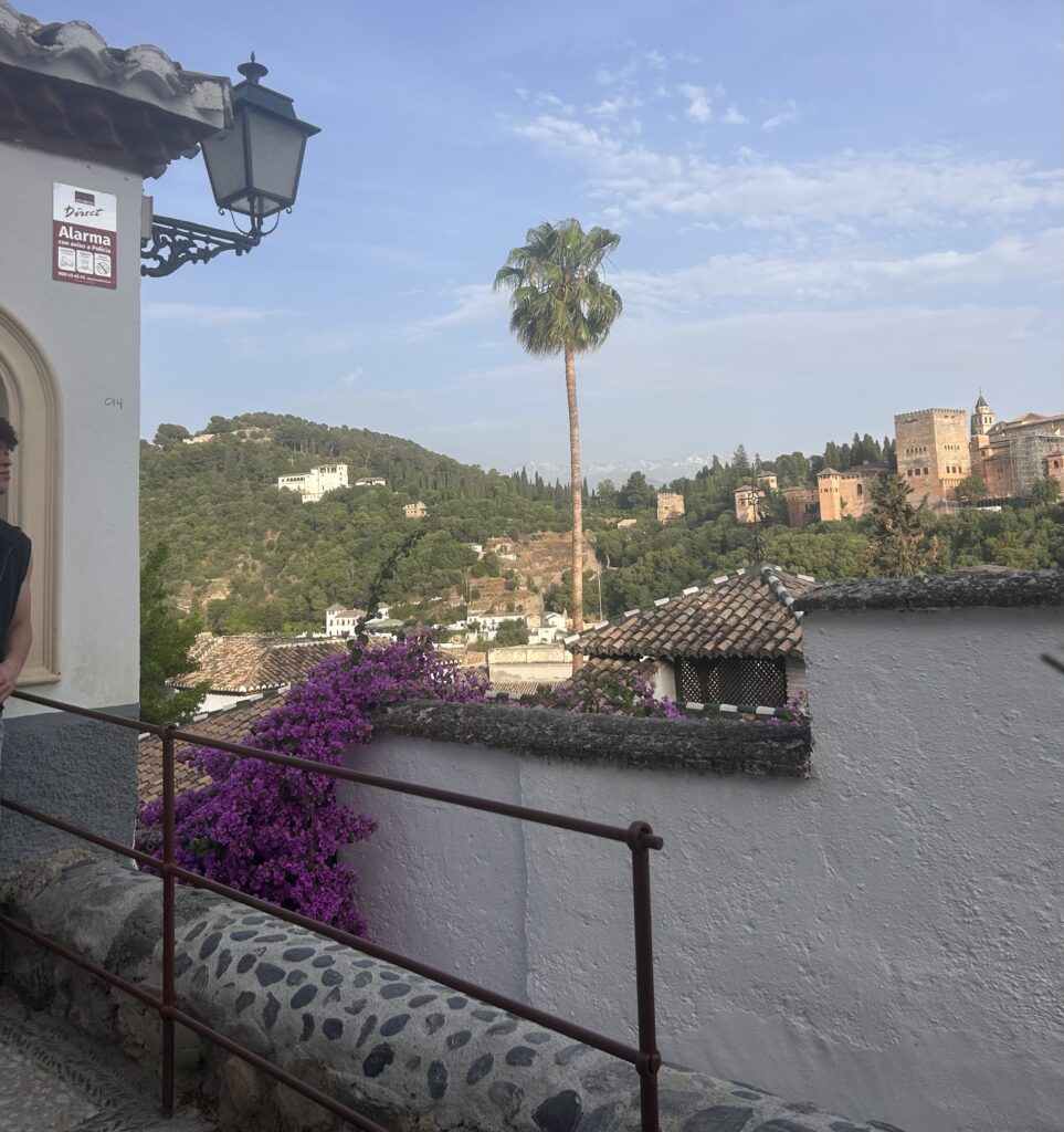 vista de la alhambra